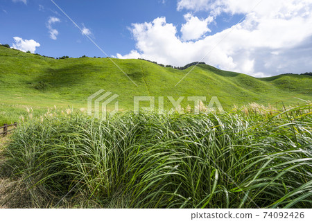 夏日索尼高地（奈良縣） 74092426