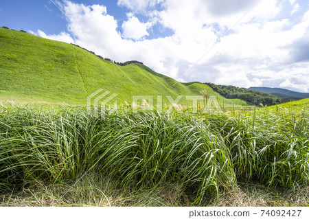 Summer Soni Highlands (Nara Prefecture) 74092427