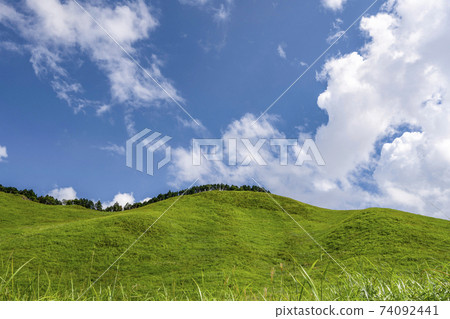 夏日索尼高地(奈良縣) 夏日索尼高地(奈良縣) 74092441