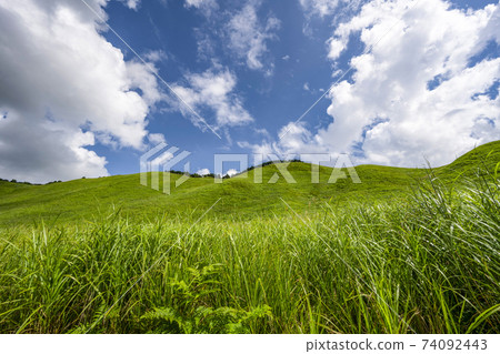 Summer Soni Highlands (Nara Prefecture) Summer Soni Highlands (Nara Prefecture) 74092443