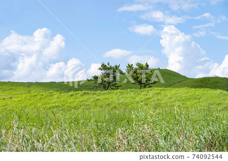 夏日索尼高地（奈良縣） 74092544