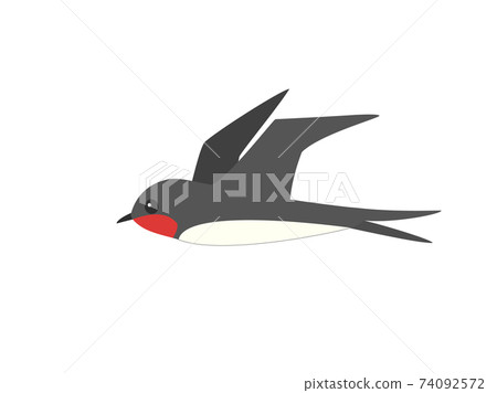 燕子2燕子燕子 燕子2燕子燕子 74092572