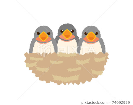 燕子4燕子 74092939