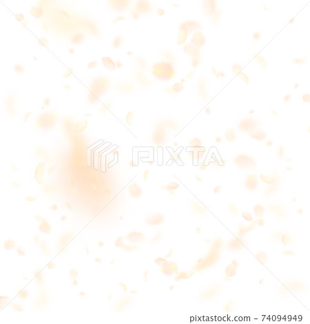 Yellow orange flower petals falling down. Valuable 74094949