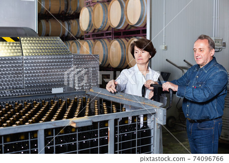 Expert and wine maker inspect containers with bottles Expert and wine maker inspect containers with bottles 74096766