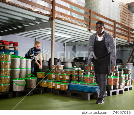 Workers store plastic containers with ripe olives in factory Workers store plastic containers with ripe olives in factory 74097016
