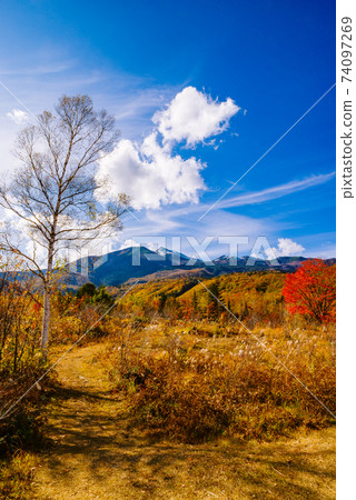 Norikura Kogen, Maple and Mount Norikura [Nagano Prefecture] 74097269