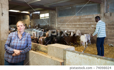Portrait of woman goat breeder 74098024