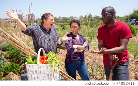 Angry neighbors quarrel on the border of garden 74098411
