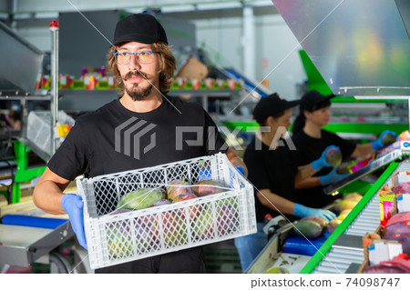 Man holding crate with mango at factory Man holding crate with mango at factory 74098747