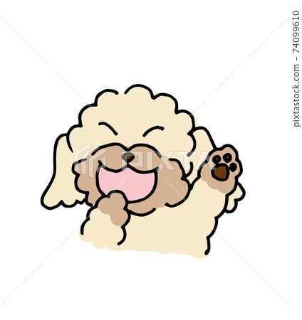 Yawning white toy poodle handwritten illustration 74099610