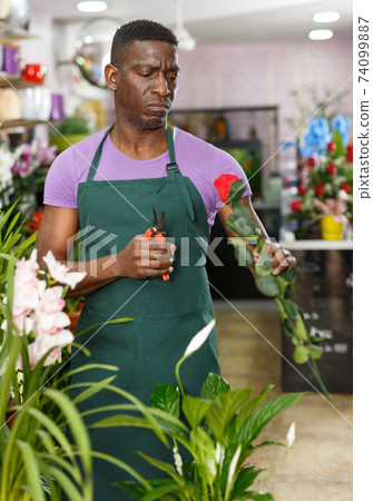 Florist working in floral shop Florist working in floral shop 74099887