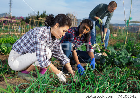 Woman caring for plants in garden with another worker in background 74100542