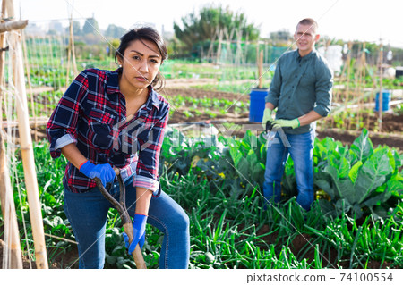 Female farmer with shovel in the backyard of arm Female farmer with shovel in the backyard of arm 74100554