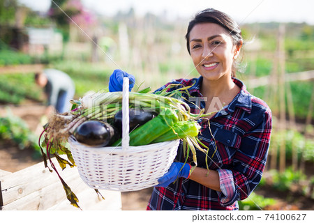Latina woman farmer in checked shirt posing with basket of harvest Latina woman farmer in checked shirt posing with basket of harvest 74100627