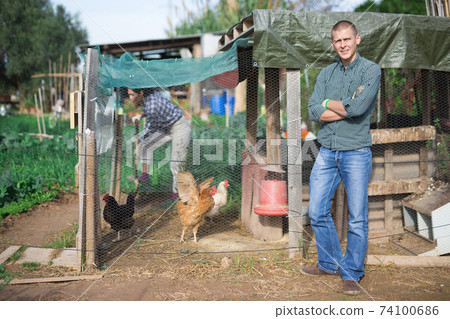 Portrait of farmer at the hen house in the backyard of farm Portrait of farmer at the hen house in the backyard of farm 74100686