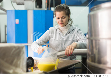 Workwoman controlling quality of olive Workwoman controlling quality of olive 74101565
