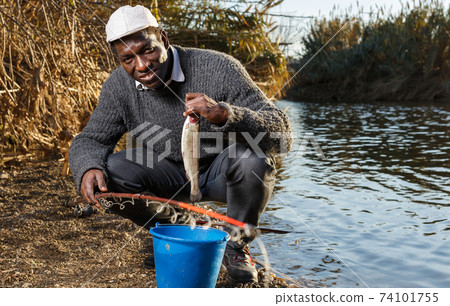 Fisherman putting fish in bucket 74101755