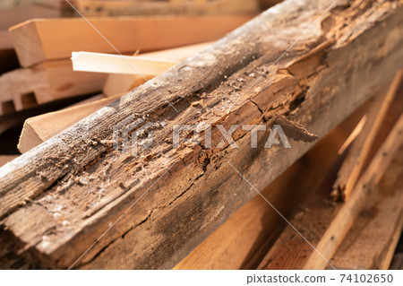 Architectural remodeling material 40-year-old house Example of pillars deteriorated by termites 74102650