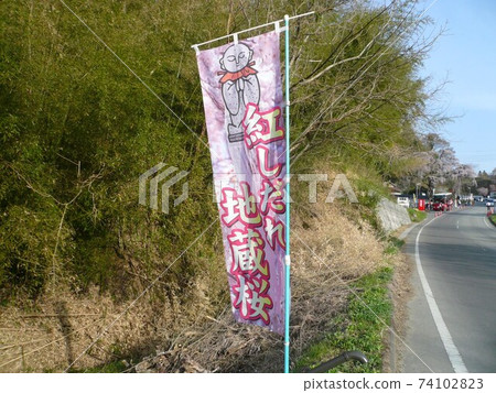 紅色哭泣的佐佐木櫻（福島縣郡山市） 74102823