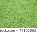 Artificial grass 74102962