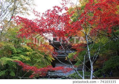 Autumn leaves scenery of Kogenji Temple in Tamba [Hyogo Prefecture] 74103335