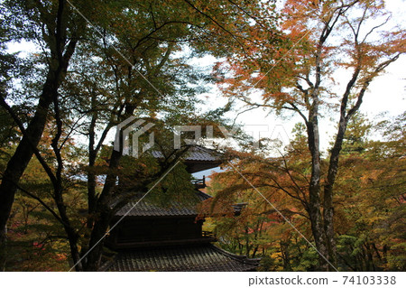 丹波[兵庫縣]高原寺的紅葉景色 74103338