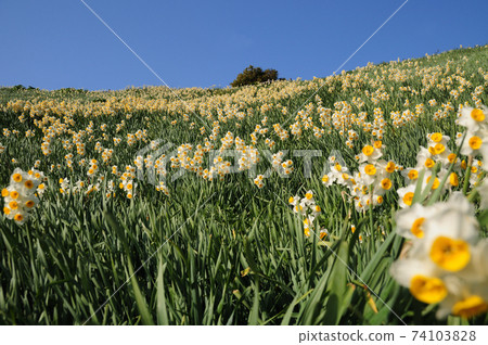 Nada Kuroiwa Water Sengoku Nada Kuroiwa Water Sengoku 74103828