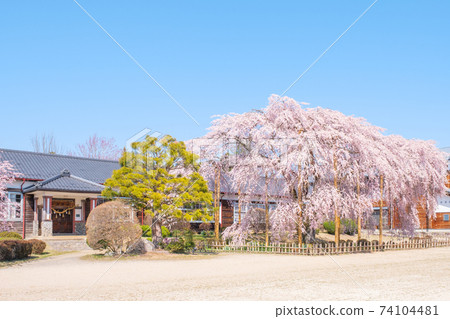 chi口原學校(春季):長野縣飯田市 chi口原學校(春季):長野縣飯田市 74104481