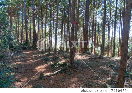 The summit of Konpirayama (Akiruno City, Tokyo) 74104764