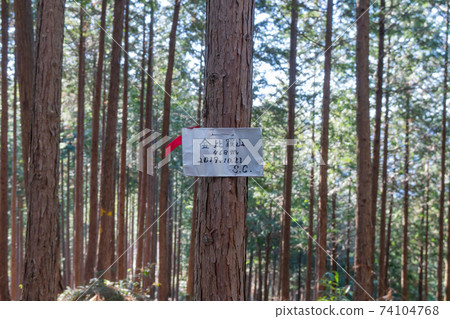 The summit of Konpirayama (Akiruno City, Tokyo) 74104768
