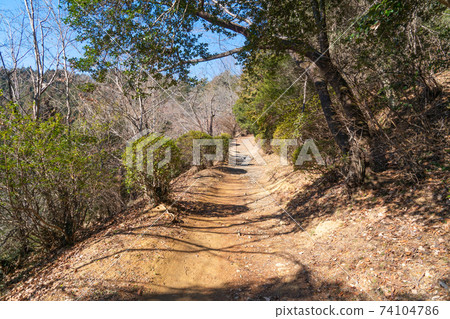 Konpirayama mountain trail (Akiruno City, Tokyo) 74104786