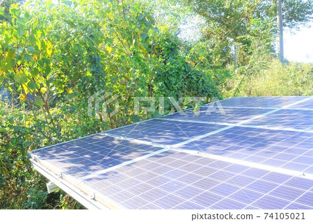 Solar panels with trees and shadows Solar panels with trees and shadows 74105021