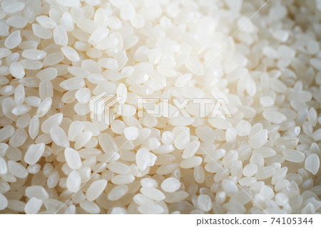 Rice, rice, rice image, rice, rice grains 74105344