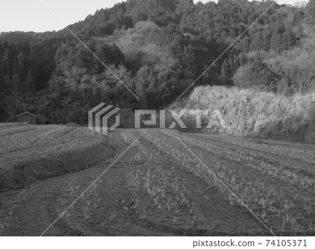 Morning in the mountain fields 74105371