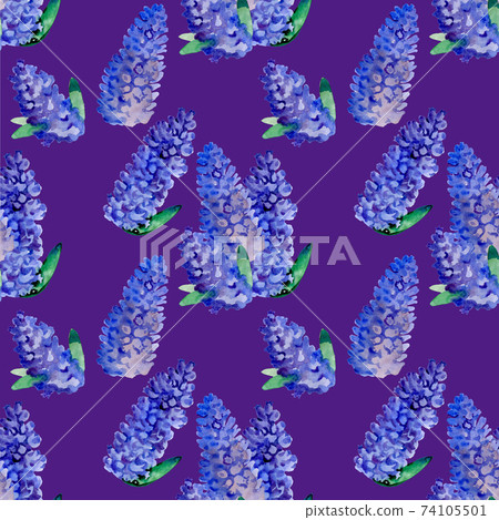 Composition with a blue Delphinium flowers daisies close-up.Floral background.Spring time. Composition with a blue Delphinium flowers daisies close-up.Floral background.Spring time. 74105501