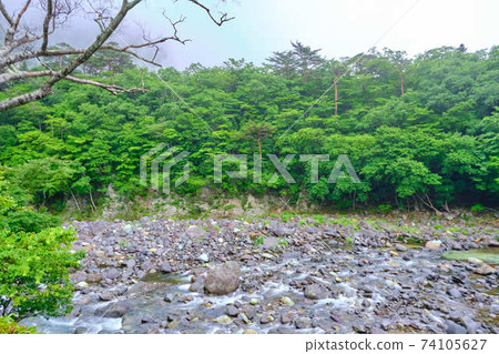 Late June Nasushiobara City, Tochigi Prefecture 74105627
