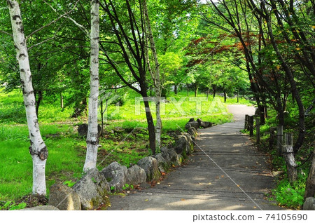 Shin-Hotaka Ropeway Nabehira Kogen Walking Path, Birch and Fresh Green Shin-Hotaka Ropeway Nabehira Kogen Walking Path, Birch and Fresh Green 74105690