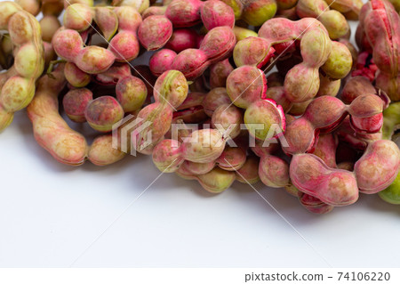 Manila tamarind fruit isolated on white background 74106220