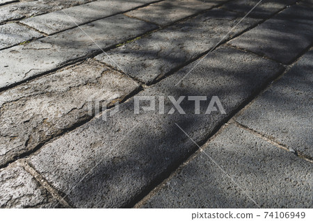 落在冬季b-2電影風格的鵝卵石路上的一棵樹的陰影 74106949