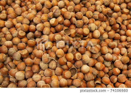 Forest nut background. Full and half of hazelnuts on white background top view. Isolated Forest nut background. Full and half of hazelnuts on white background top view. Isolated 74106980