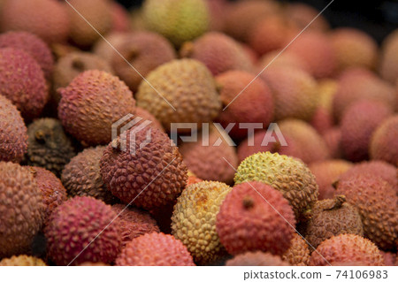 lichee, Litchi fruits, Scientific name Lichi chinensis Sonn lichee, Litchi fruits, Scientific name Lichi chinensis Sonn 74106983