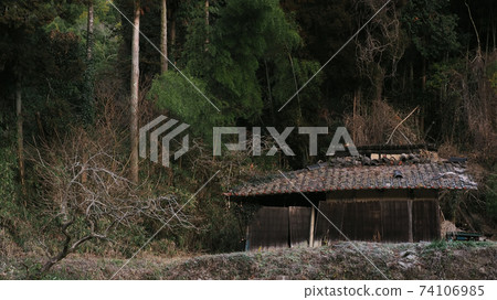 Visit the old 74106985