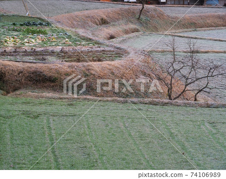 Oh, it looks cold. 74106989