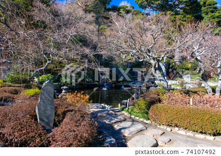 Hasedera, Kamakura City, Kanagawa Prefecture Winter Garden (Free Life Pond) Hasedera, Kamakura City, Kanagawa Prefecture Winter Garden (Free Life Pond) 74107492