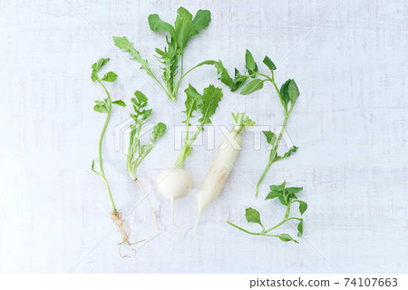 Seven herbs of spring Seven herbs of spring 74107663