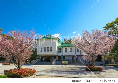 Tokugawa Art Museum and Sakura <Nagoya City, Aichi Prefecture> 74107674