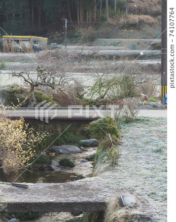 Frost morning stream 74107764