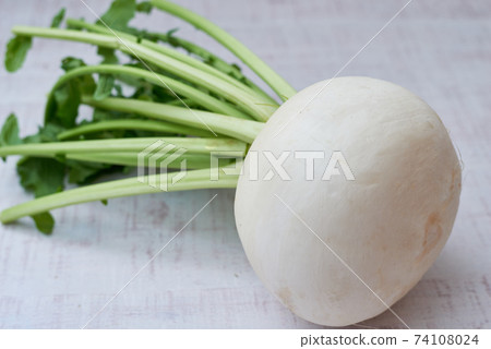 Large turnip 74108024