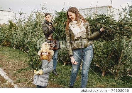 Family choosing a christmas tree 74108066